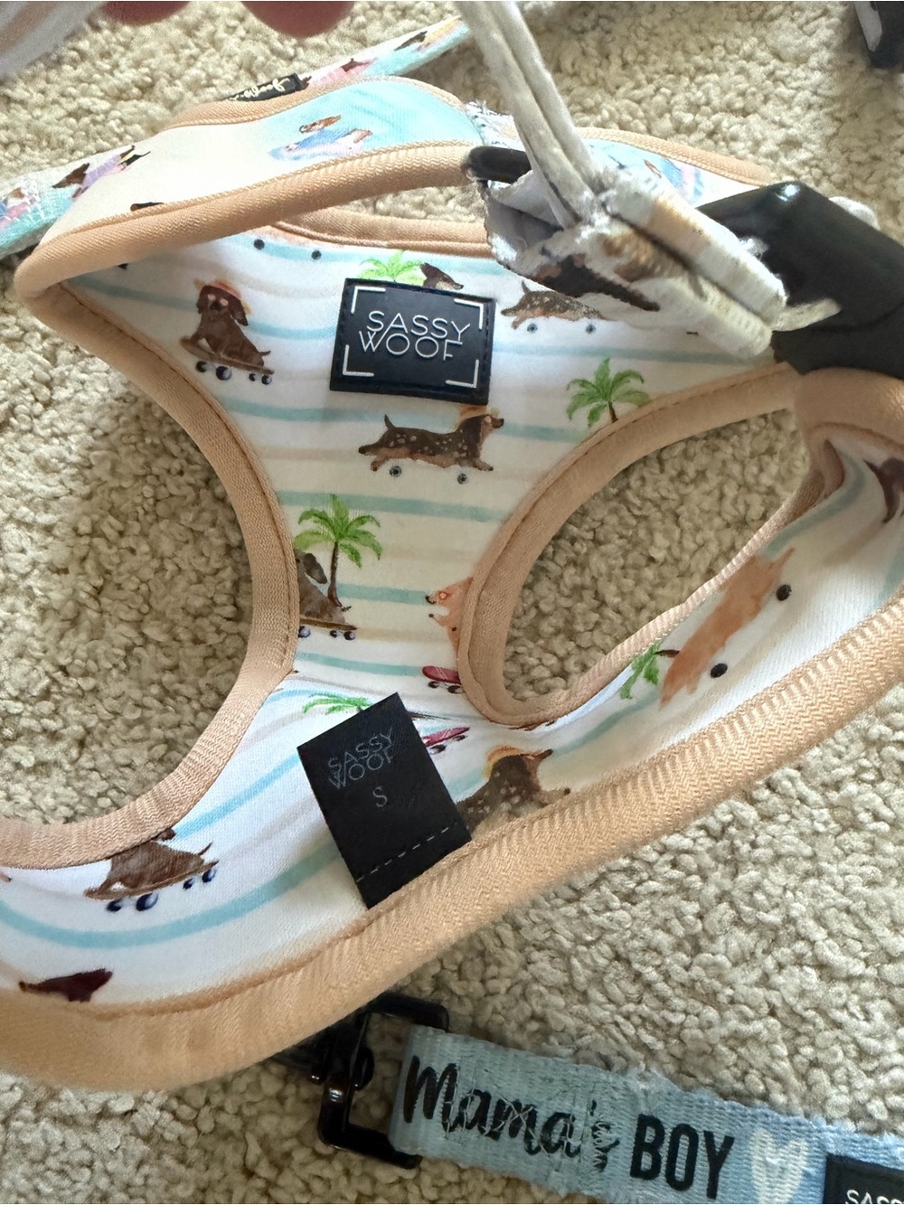 Sassy Woof Harness Leash Bundle - Picture 6 of 16